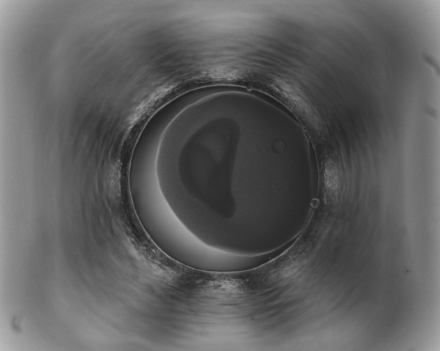 X0000102240492200807251303