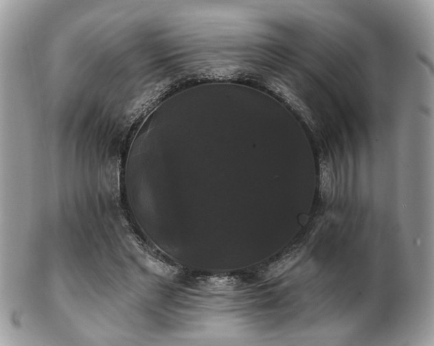 X0000102240493200807251303