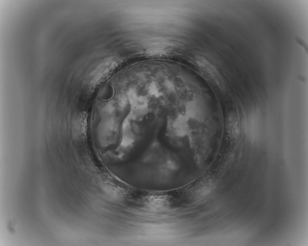 X0000102240495200807251303