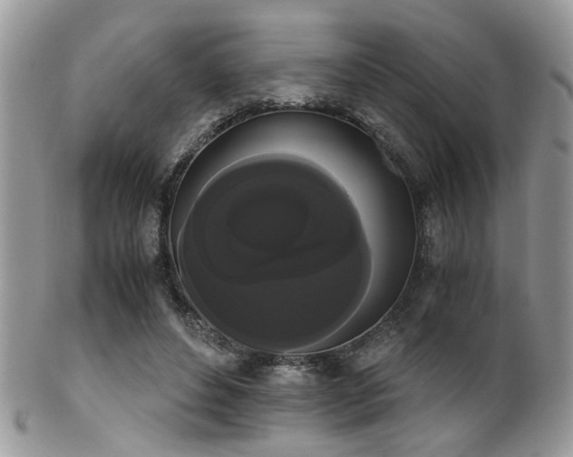 X0000102240496200807251303