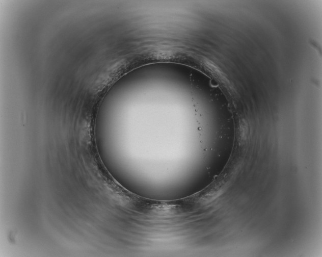 X0000102240497200807251303