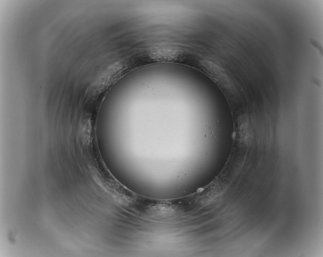 X0000102240498200807251303