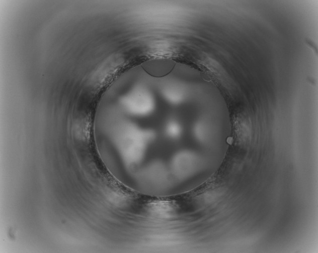 X0000102240499200807251303