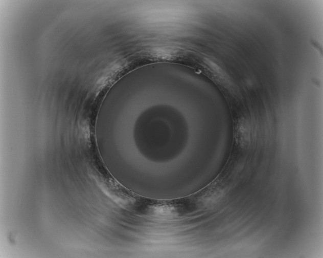 X0000102240500200807251303