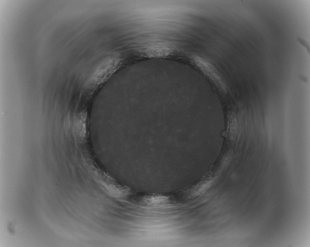 X0000102240501200807251303