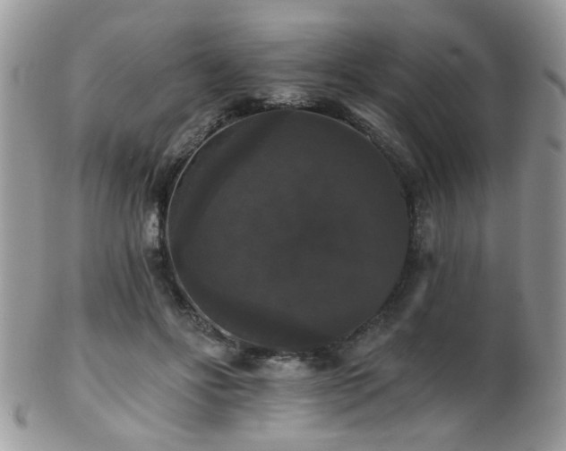 X0000102240502200807251303