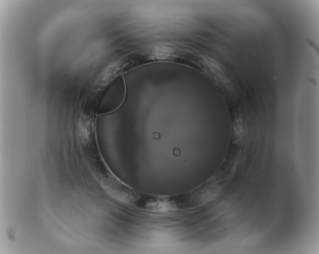 X0000102240503200807251303