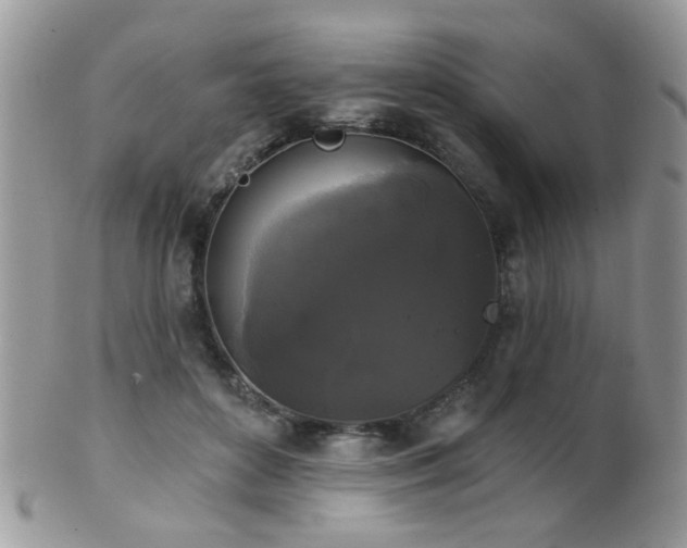 X0000102240504200807251303