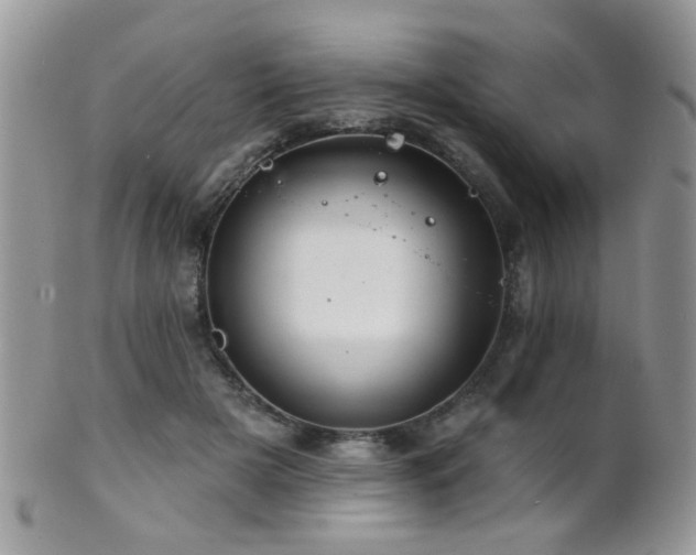 X0000102240505200807251303