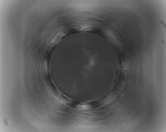 X0000102240506200807251303