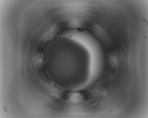 X0000102240507200807251303