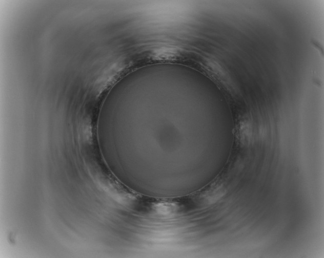 X0000102240508200807251303