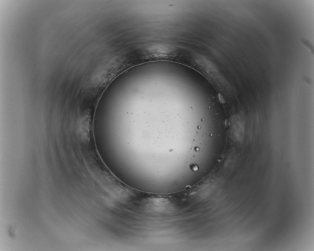 X0000102240509200807251303