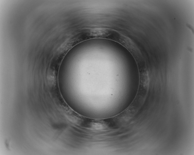 X0000102240510200807251303