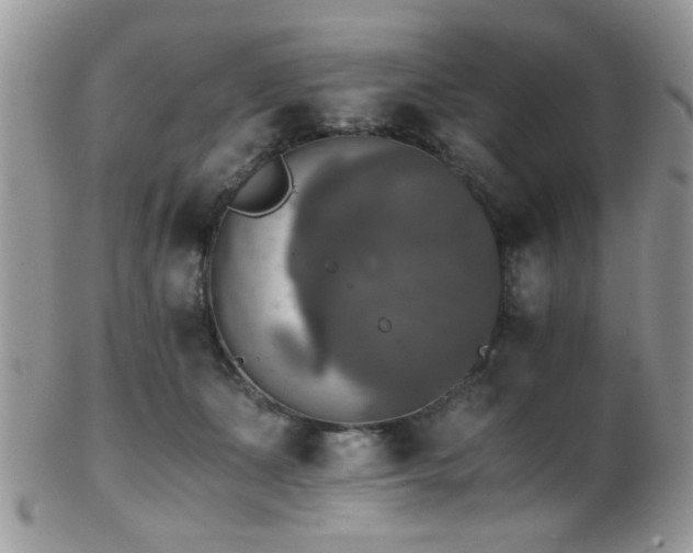 X0000102240511200807251303