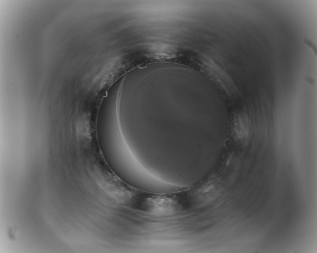 X0000102240512200807251303