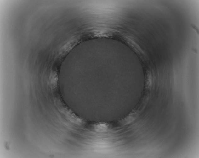 X0000102240513200807251302