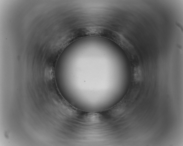 X0000102240514200807251302