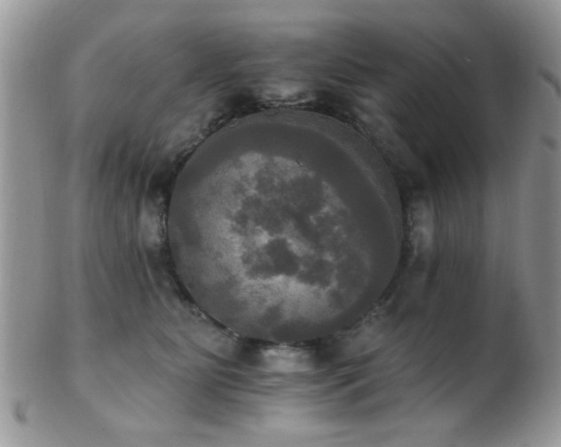 X0000102240515200807251302