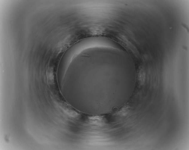 X0000102240516200807251302