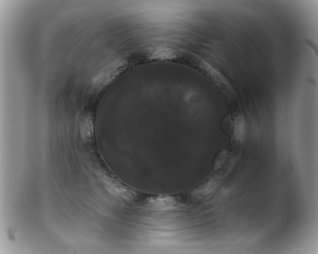 X0000102240517200807251302