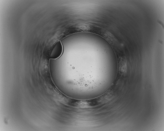 X0000102240518200807251302