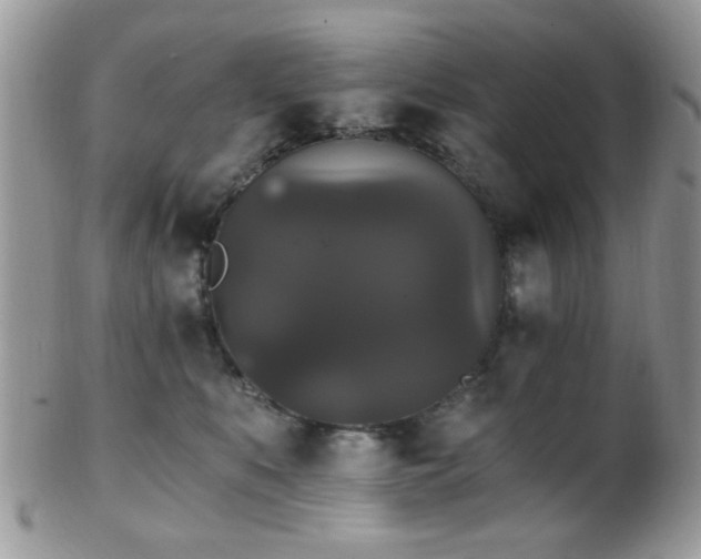 X0000102240519200807251302