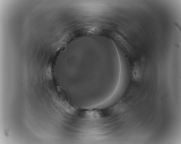 X0000102240520200807251302