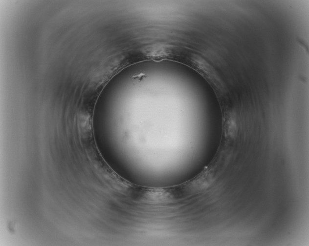 X0000102240521200807251302