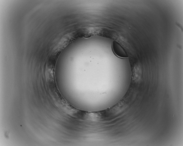 X0000102240522200807251302