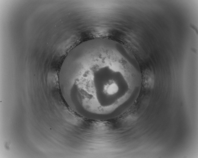 X0000102240523200807251302