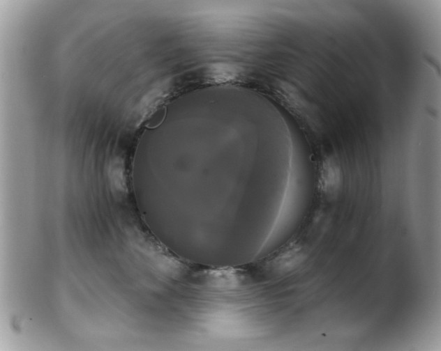 X0000102240524200807251302