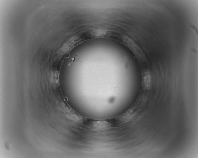 X0000102240525200807251302