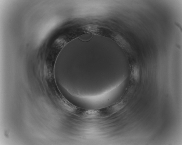 X0000102240526200807251302