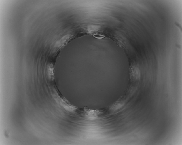 X0000102240527200807251302