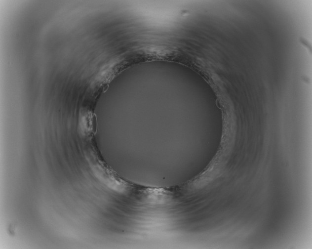 X0000102240528200807251302