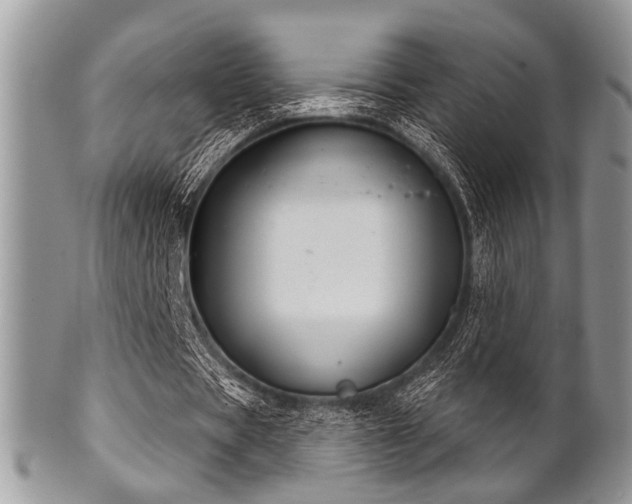 X0000102240529200807251301