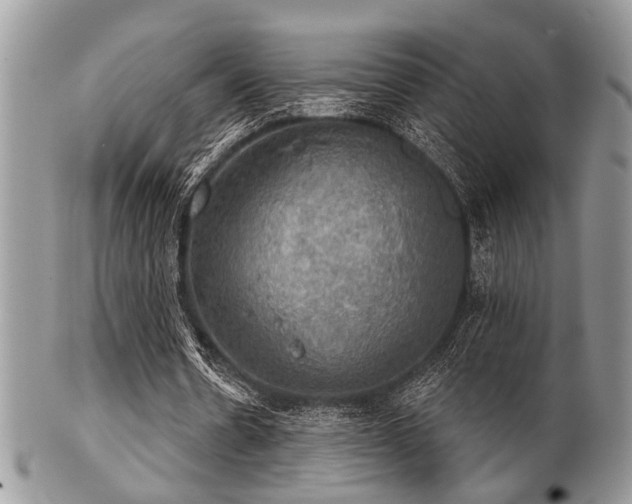 X0000102240530200807251301