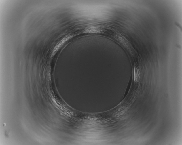 X0000102240531200807251301