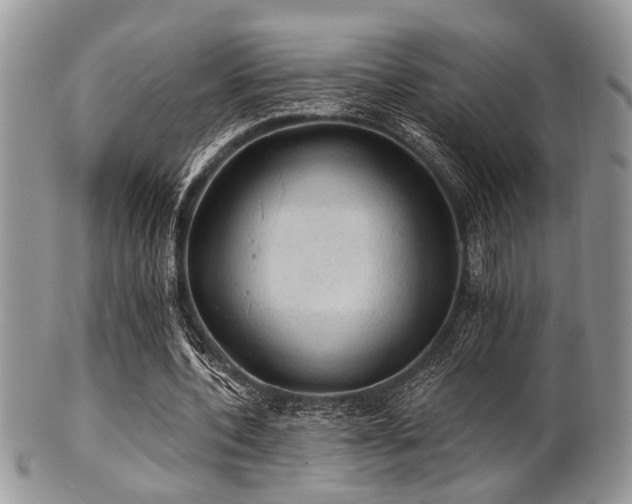 X0000102240532200807251301