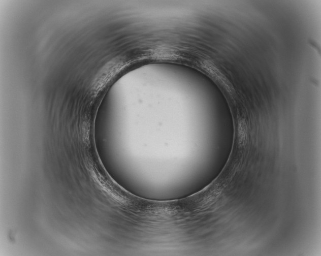 X0000102240533200807251301