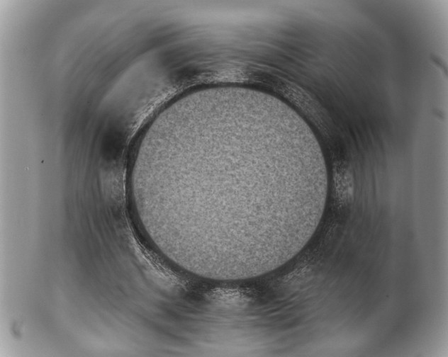 X0000102240534200807251302