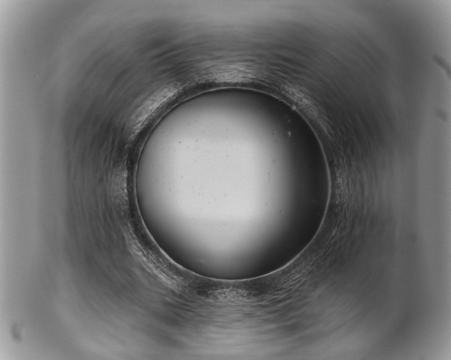 X0000102240535200807251302