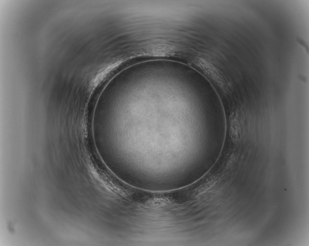 X0000102240536200807251302