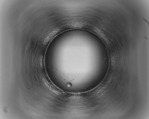 X0000102240537200807251302