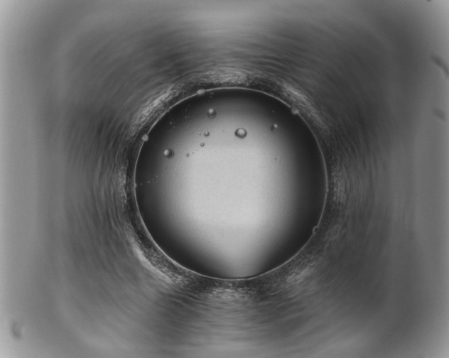 X0000102240538200807251302