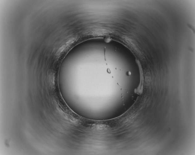 X0000102240539200807251302