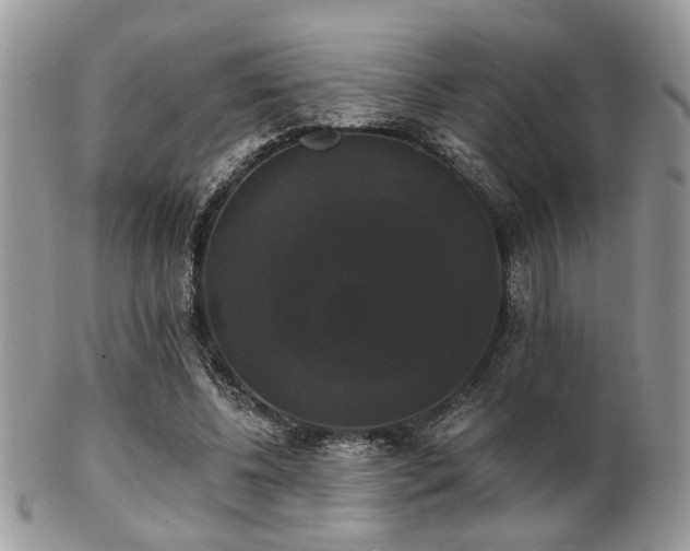 X0000102240540200807251302