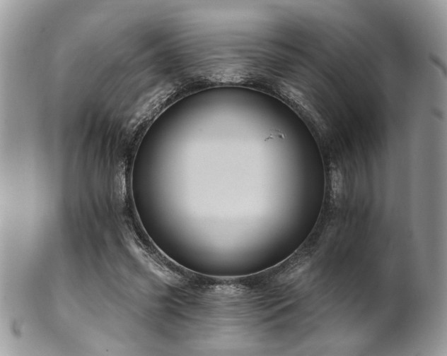 X0000102240541200807251302