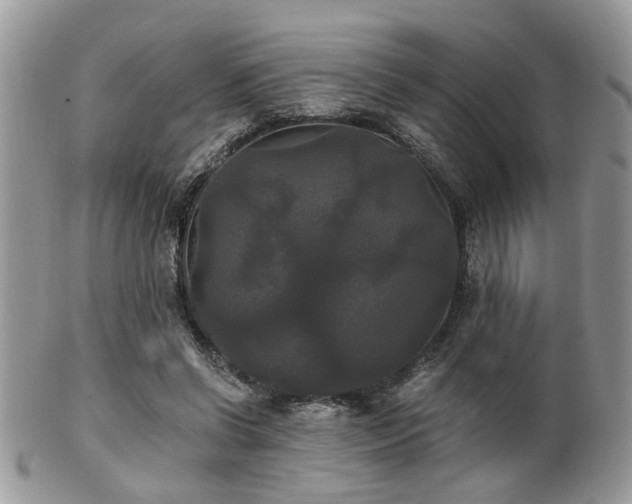 X0000102240542200807251302